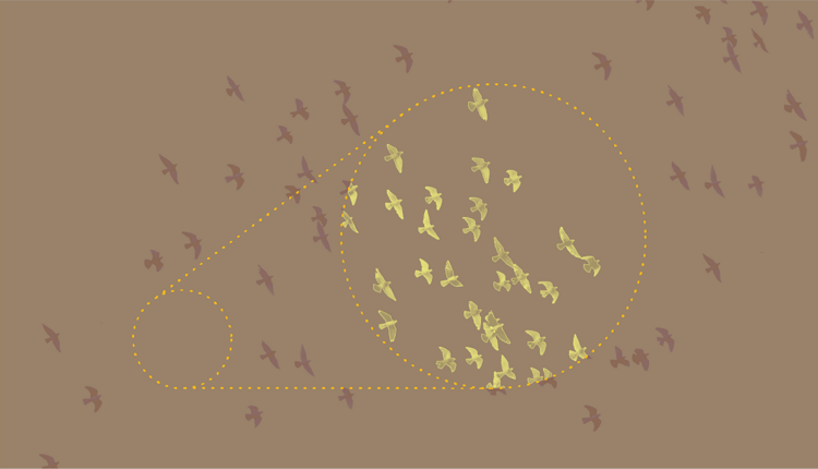 21 07 Elaine Ideas Post TB1